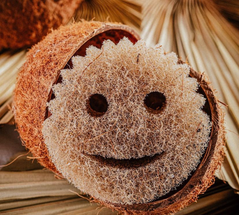 SCRUB DADDY COCO